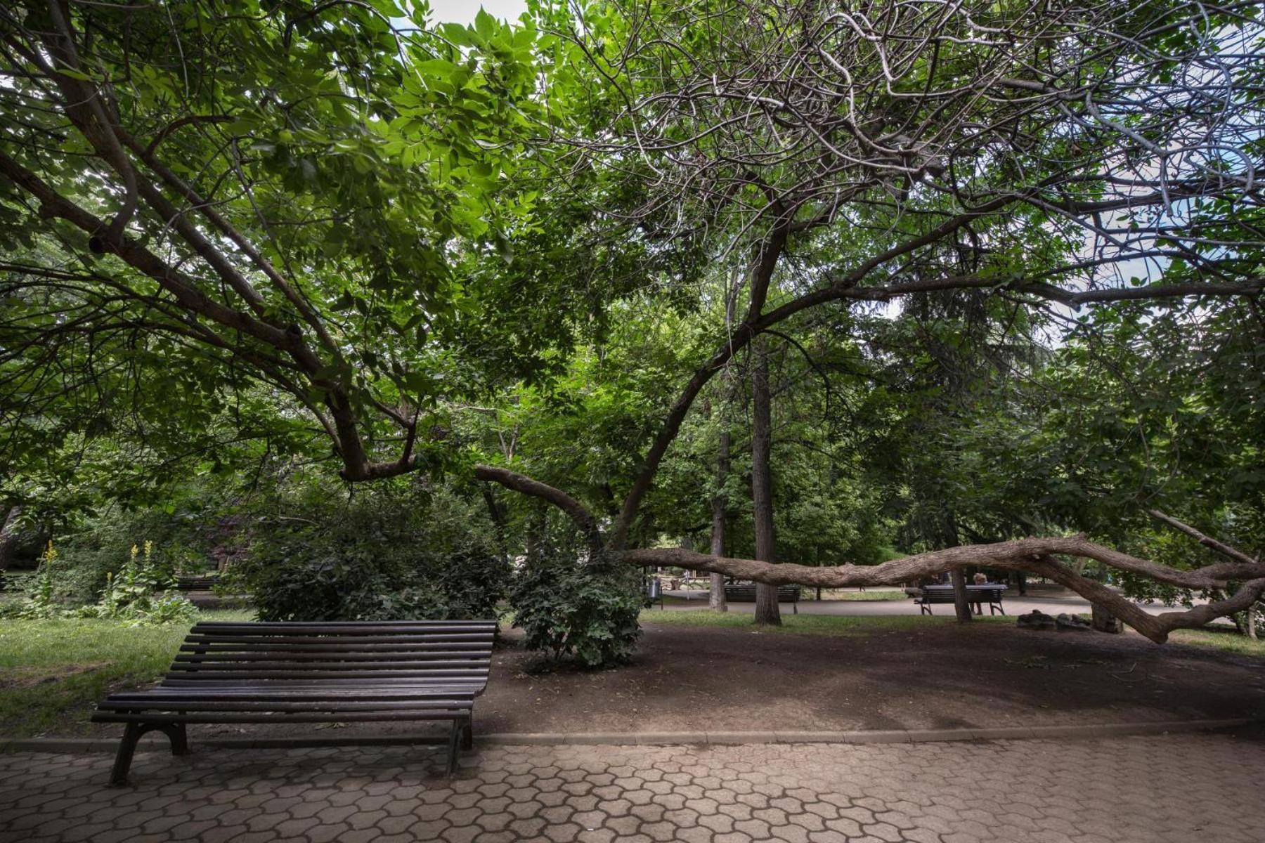 Rainforest Studio Downtown By Pretty Apartments Bukurešť Exteriér fotografie